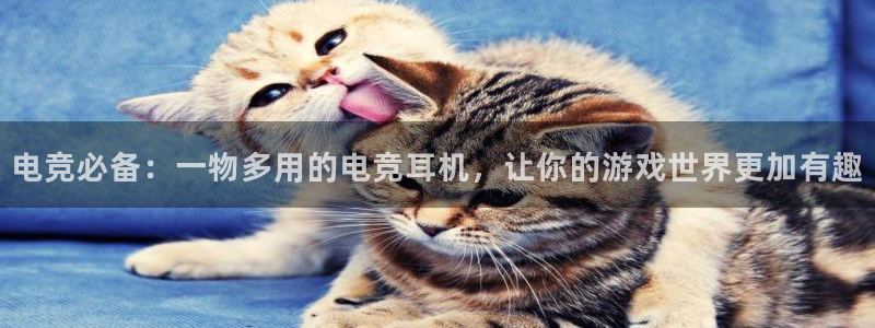 安博电竞主页官网下载安装：电竞必备：一物多用的电竞耳机，让你的游戏世界更加有趣